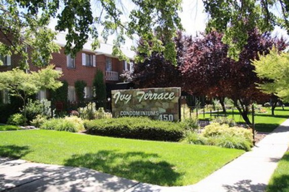 Ivy-Terrace-4_W800